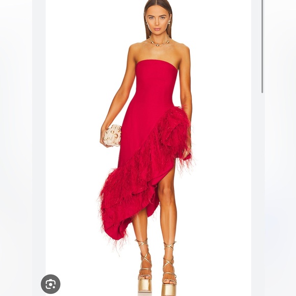 cult gaia Dresses & Skirts - Cult Gaia Gosia Red Feather Gown